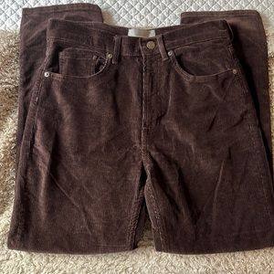 Everlane Cheeky Straight Corduroy Pant in Chocolate Brown